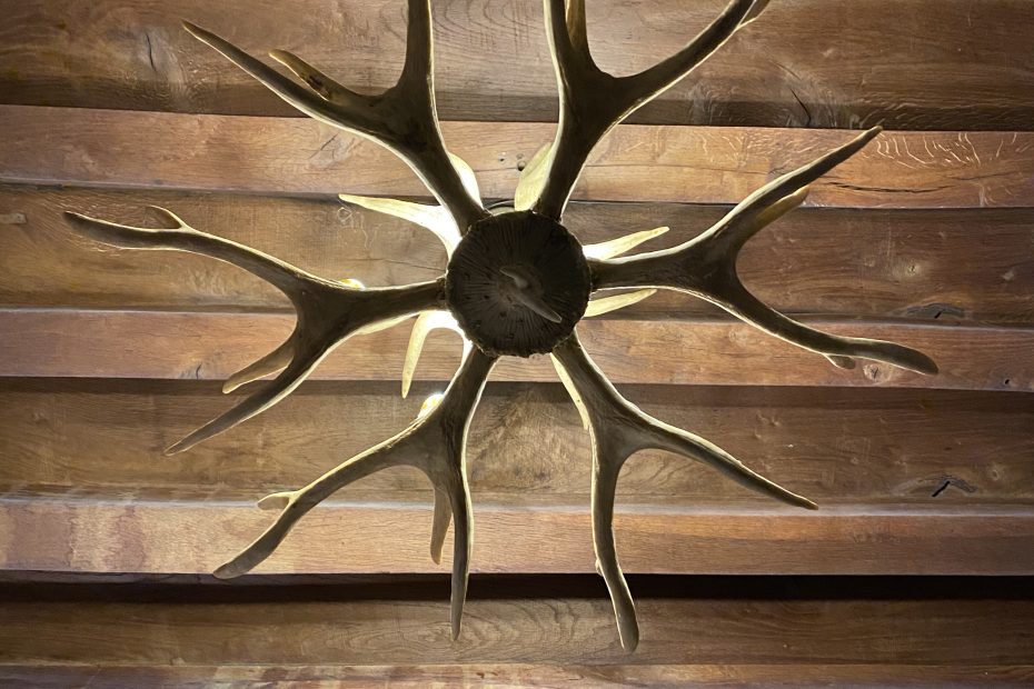 M S_Salle a manger_papier peint isidore leroy foret enchantee rochebobois bonmarche boiscerf_